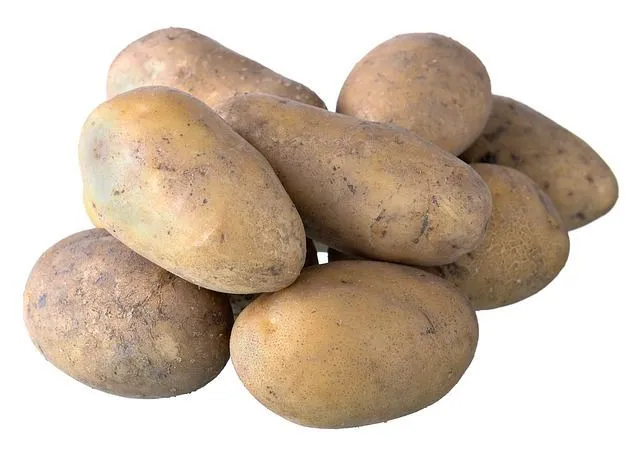 The presence of solanine in a green potato can make it dangerous to consume.