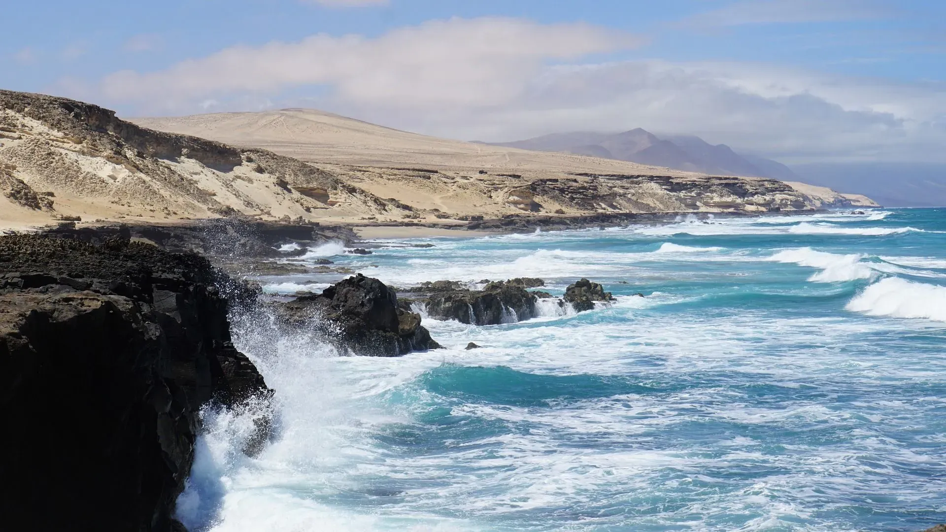 Unused ion concentrations increase in the ocean water when organisms are unable to process them.