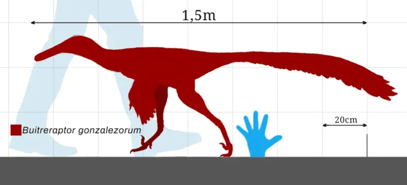 Zhongjianosaurus is the smallest non-avian dinosaur