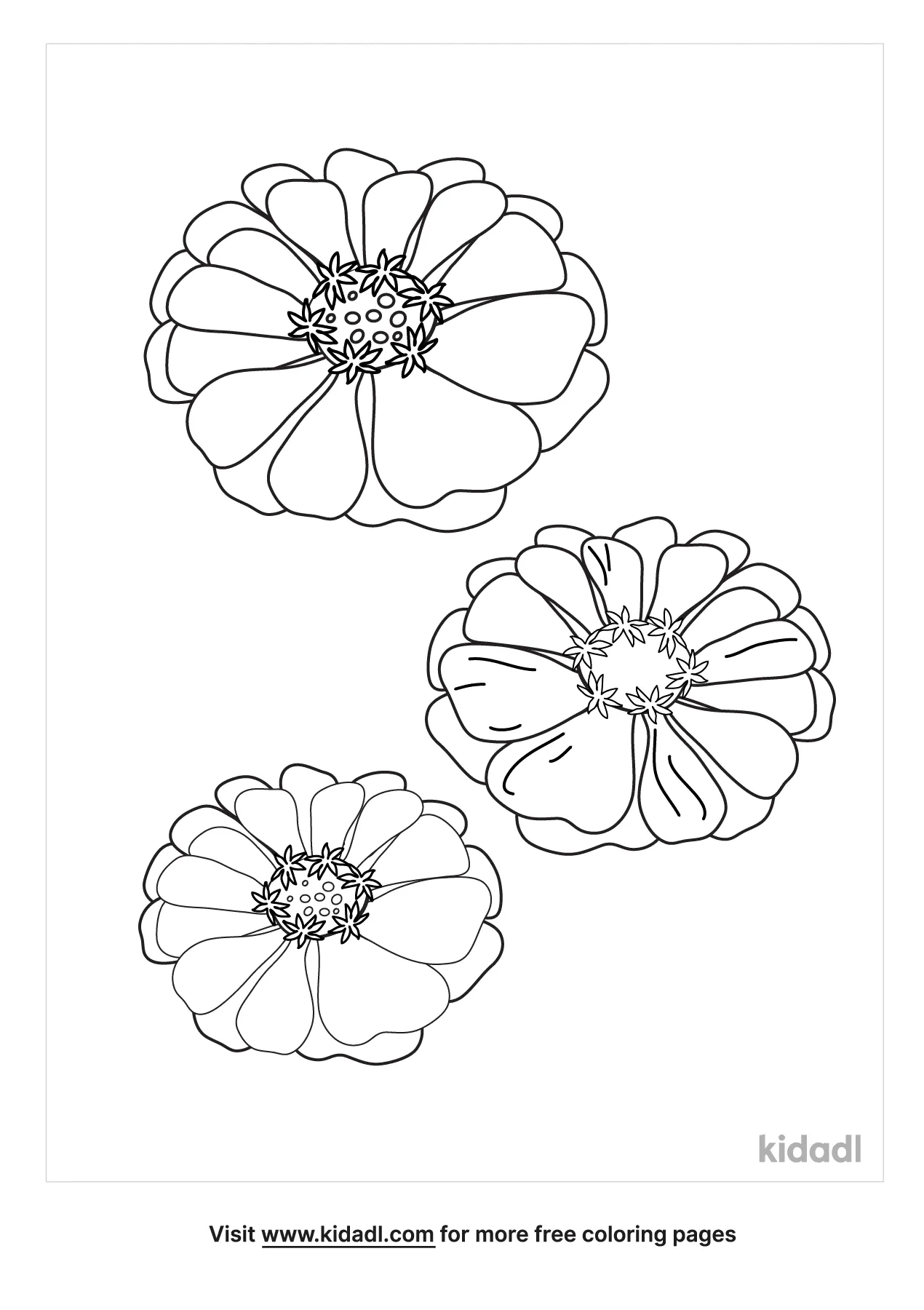 Zinnia Coloring Pages   Free Flowers Coloring Pages   Kidadl