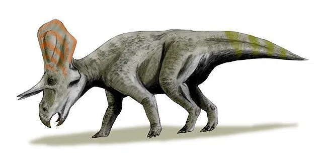 The Zuniceratops had a thin frill behind its head that had two large holes.