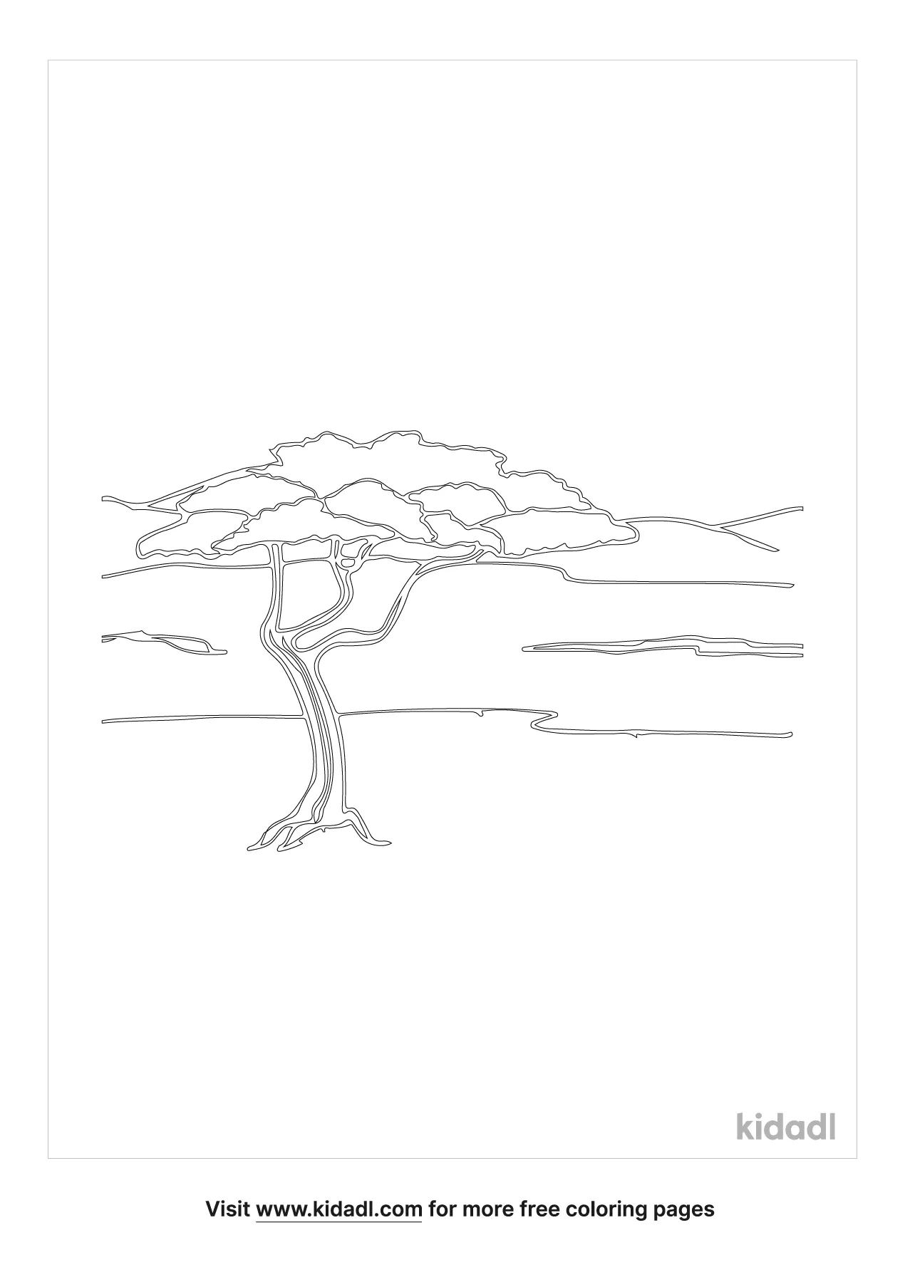 Acacia Tree Coloring Page