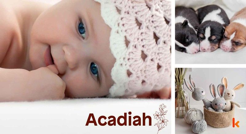 Meaning of the name Acadiah
