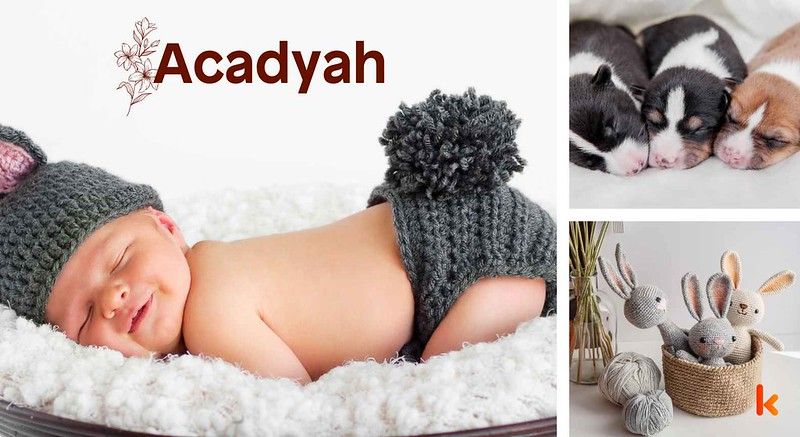 Meaning of the name Acadyah