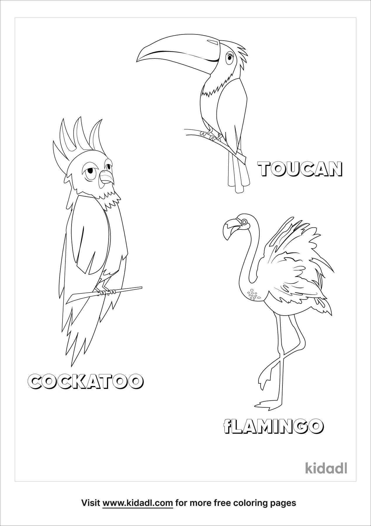 African Birds Coloring Page