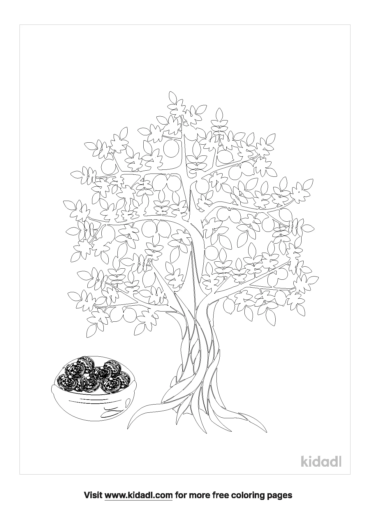 African Walnut Tree Coloring Page