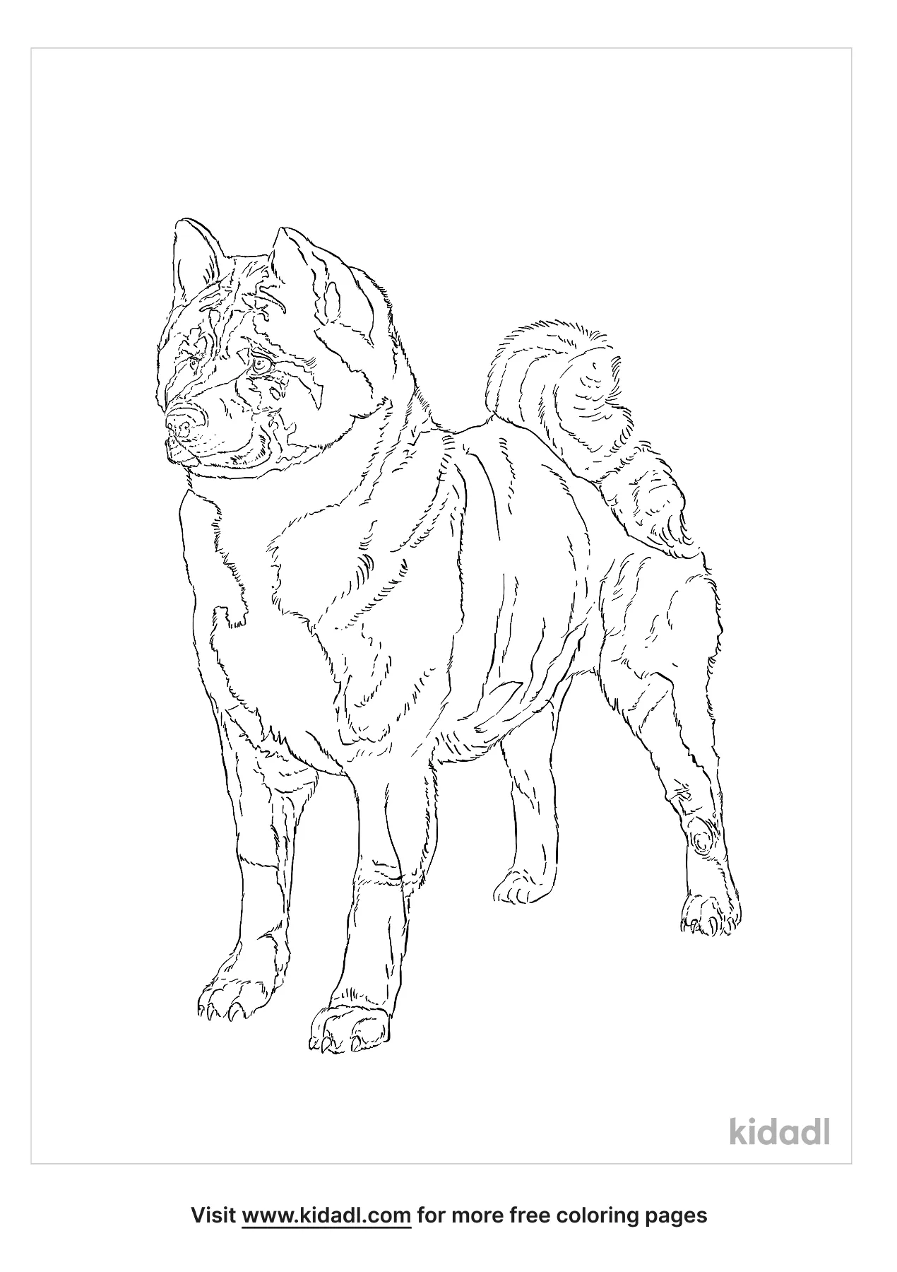 Akita Coloring Page   Free Dogs Coloring Page   Kidadl