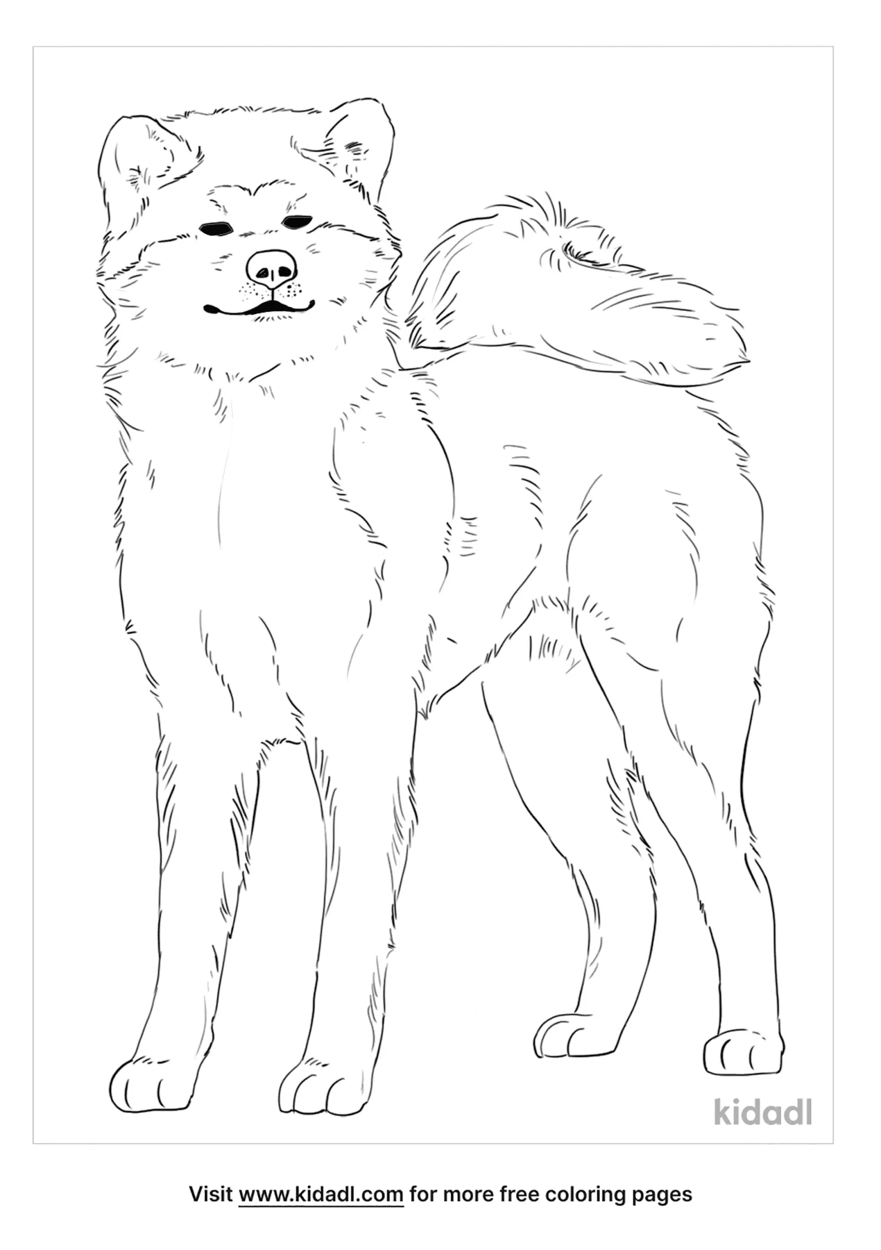 Akita Inu Coloring Page   Free Dogs Coloring Page   Kidadl