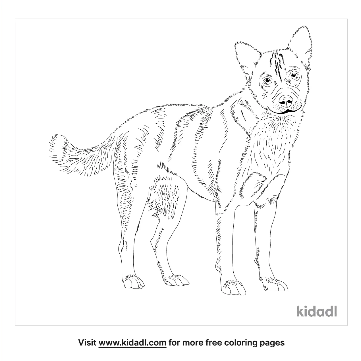 Akita Shepherd Coloring Page   Free Dogs Coloring Page   Kidadl