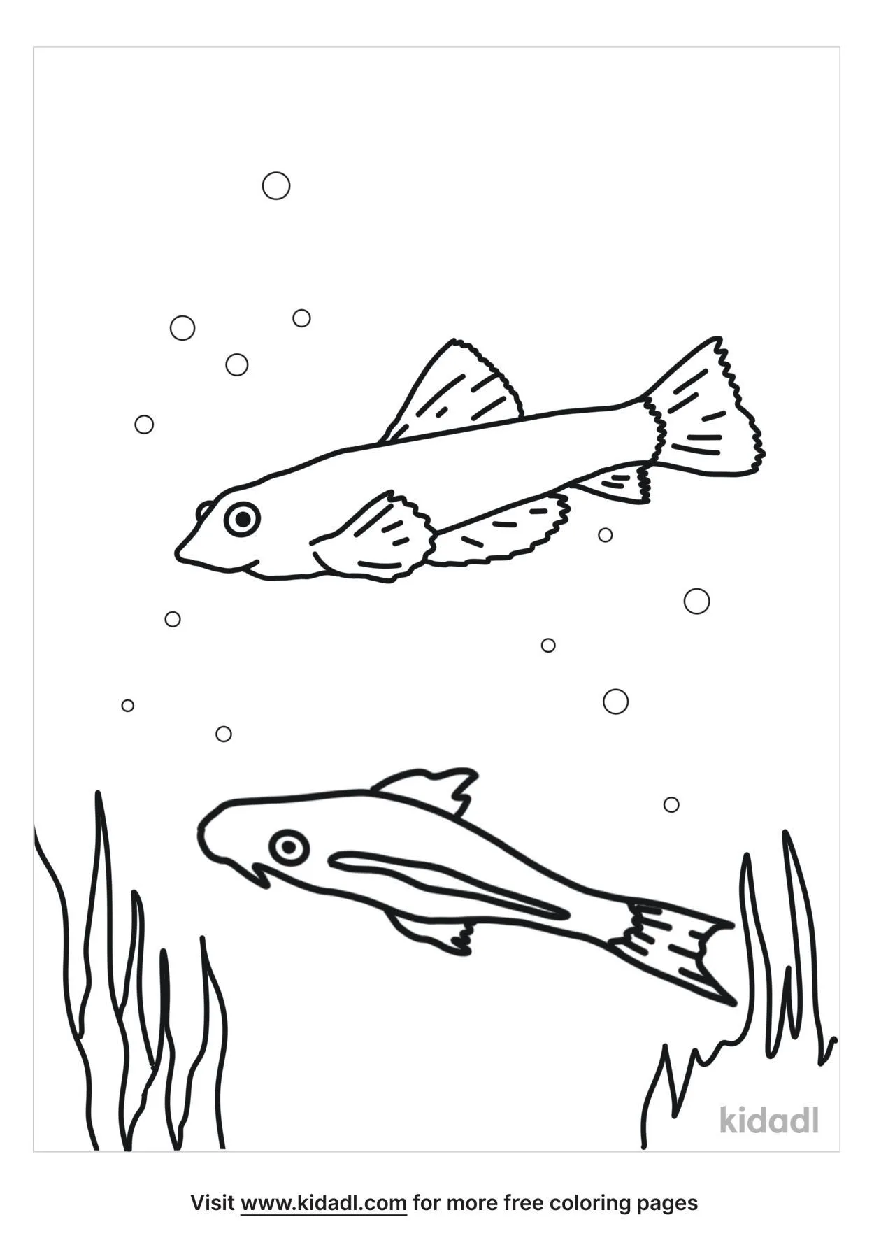 Algae Eaters Coloring Page