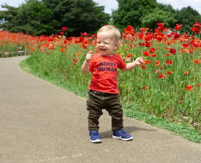 A little boy wearing red shirt and walking down a red flower field