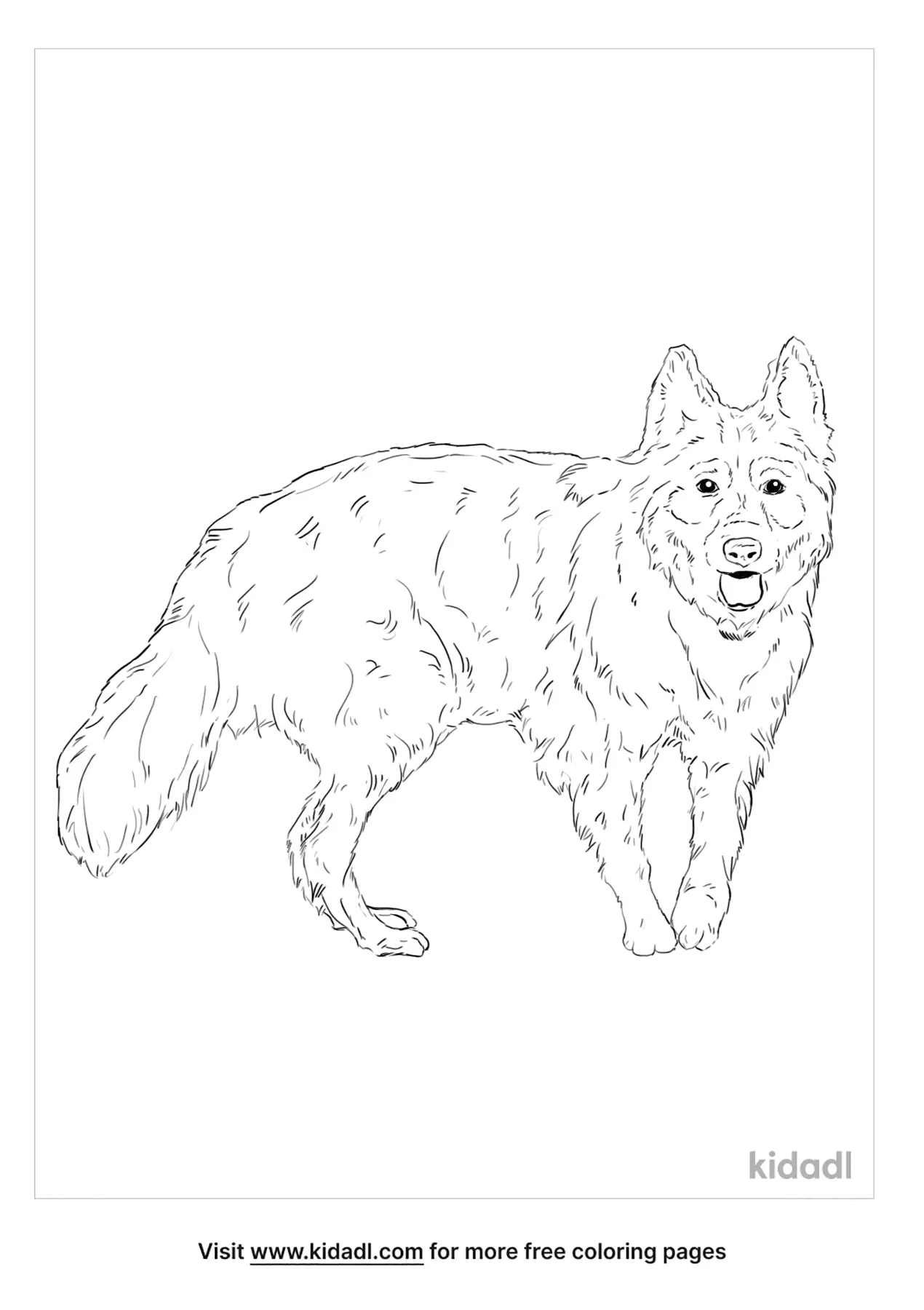 Swift Fox Coloring Page | Free Animals Coloring Page | Kidadl
