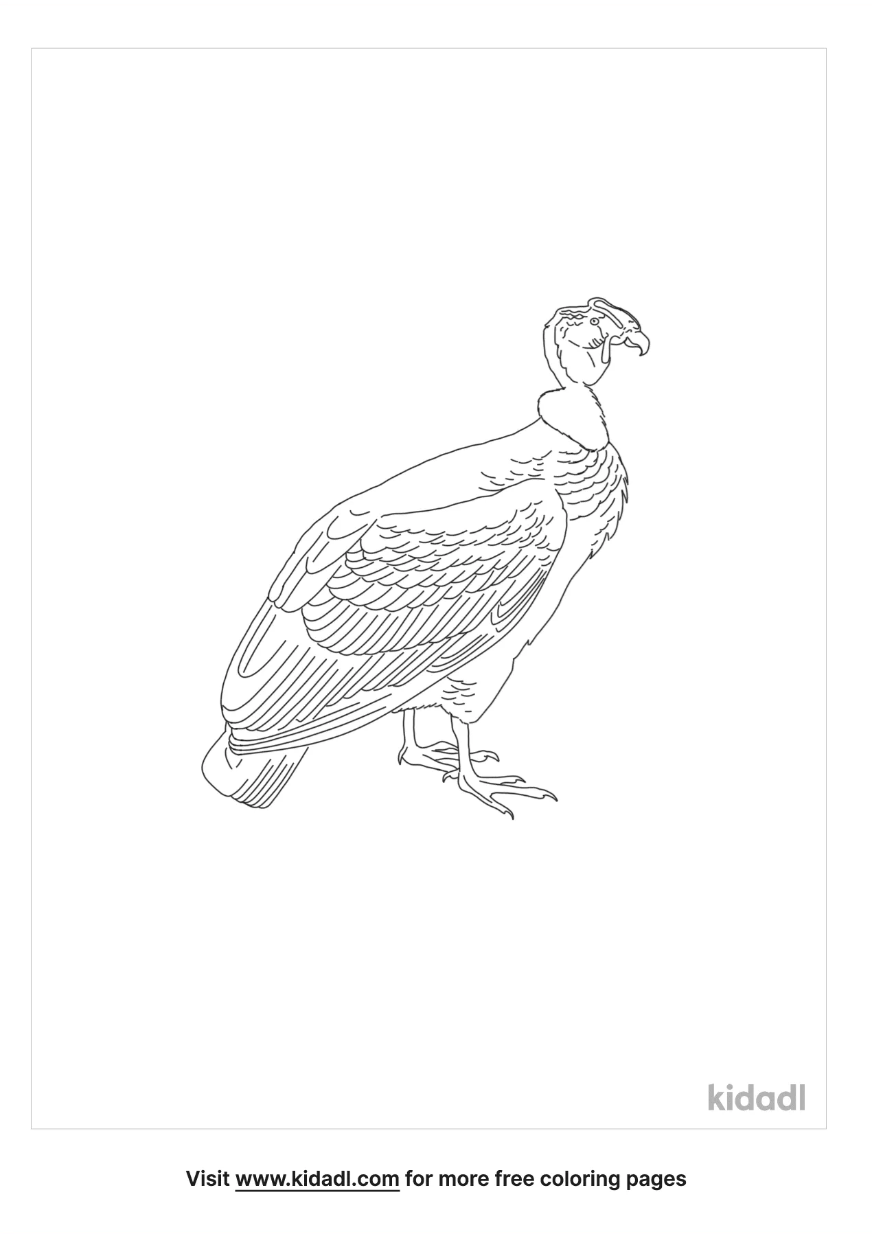 coloring pages condor