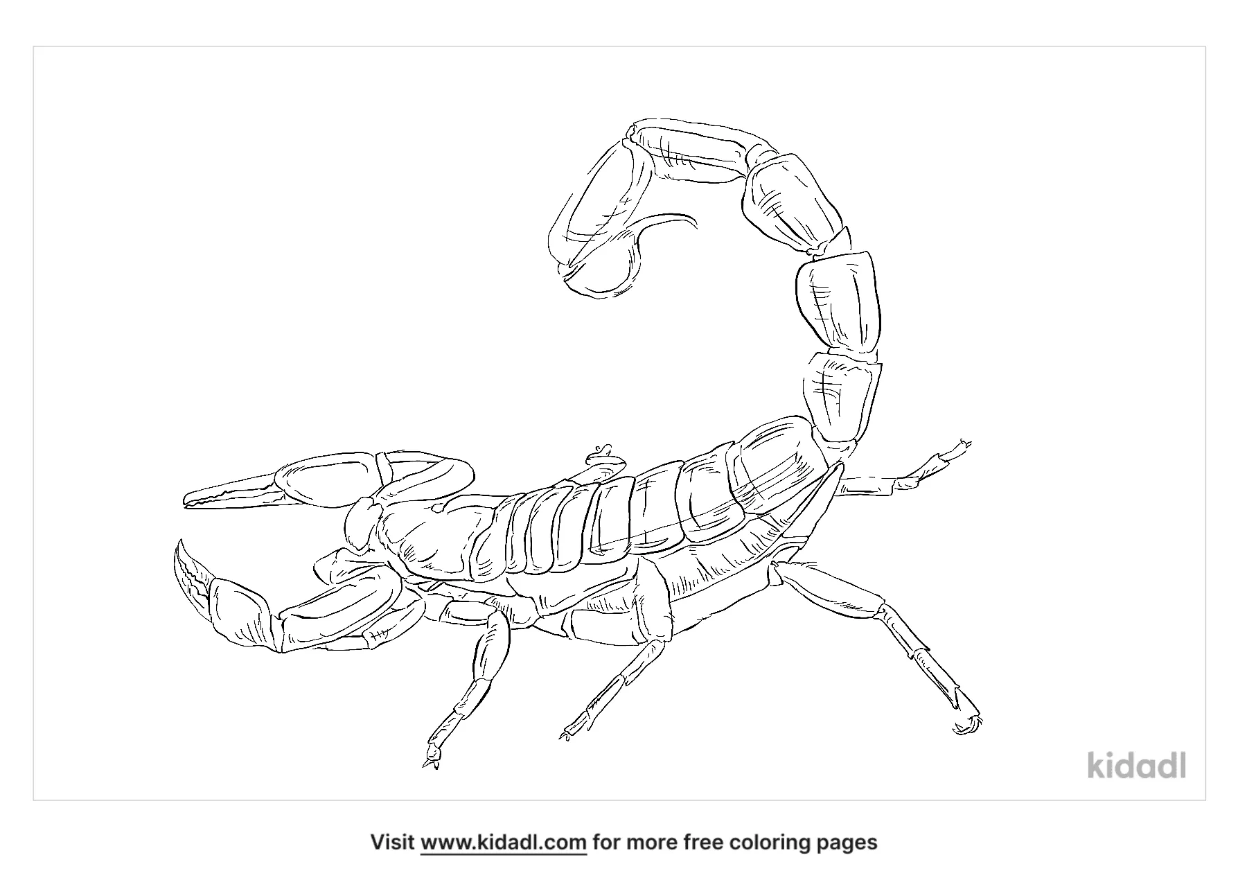 free printable scorpion coloring pages