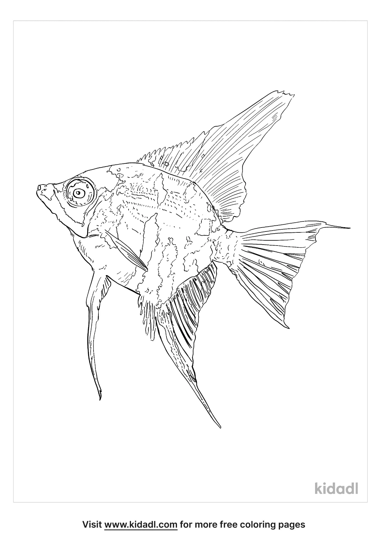 Angle Fish Coloring Page