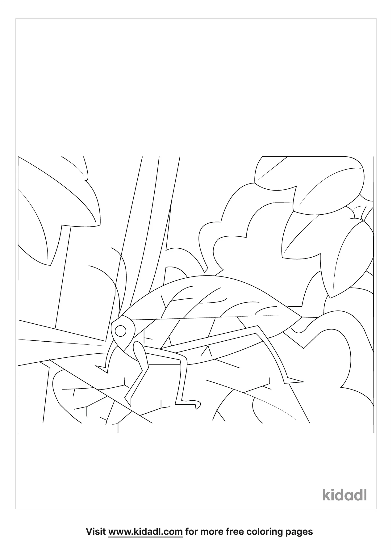 Free Animal Camouflage Coloring Page | Coloring Page Printables | Kidadl