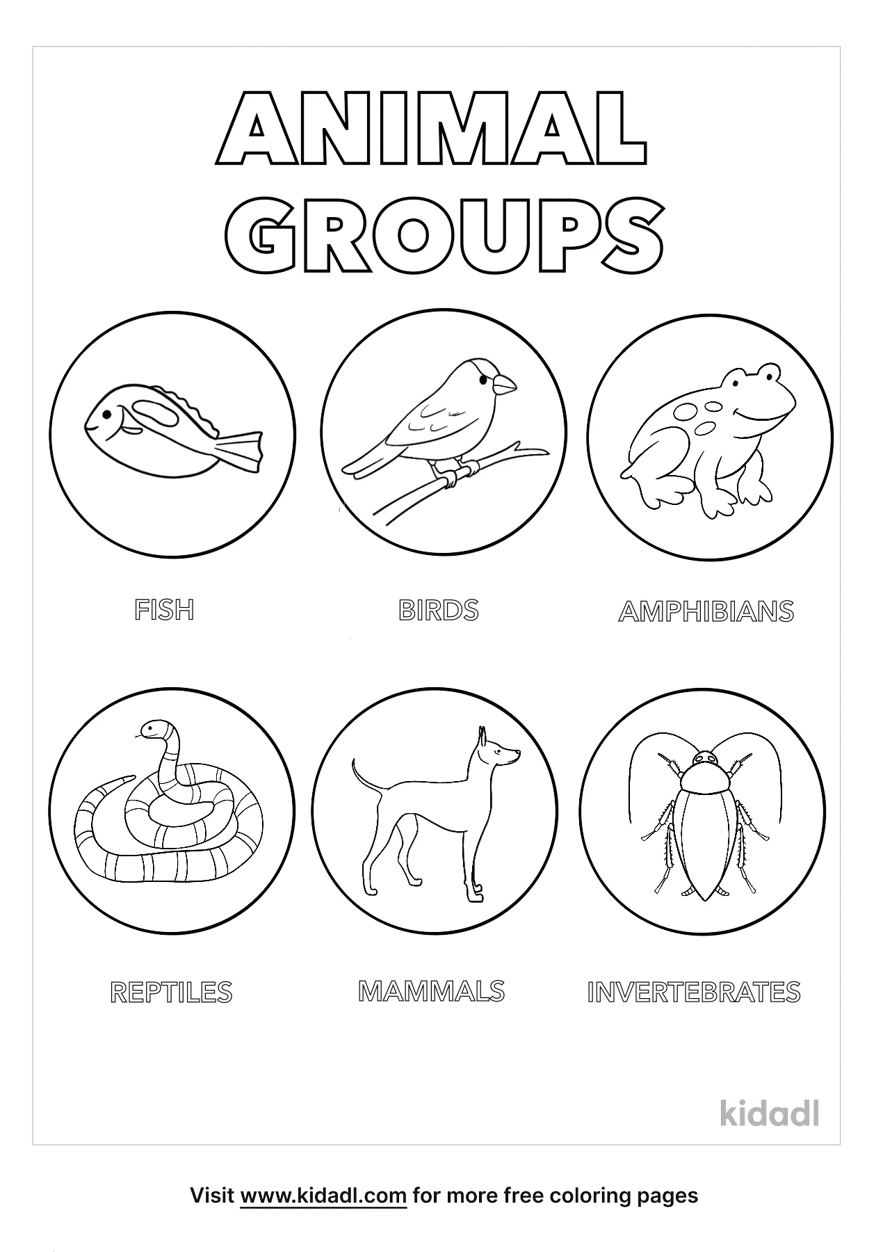Animal Groups Coloring Page   Free Animals Coloring Page   Kidadl