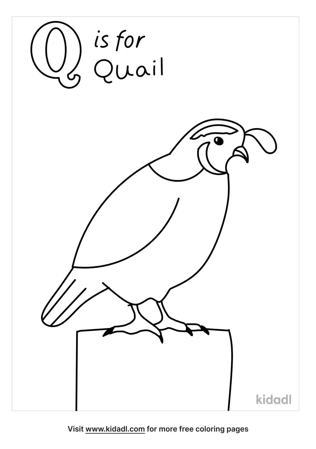 free-animal-that-starts-with-the-letter-q-coloring-page-coloring-page