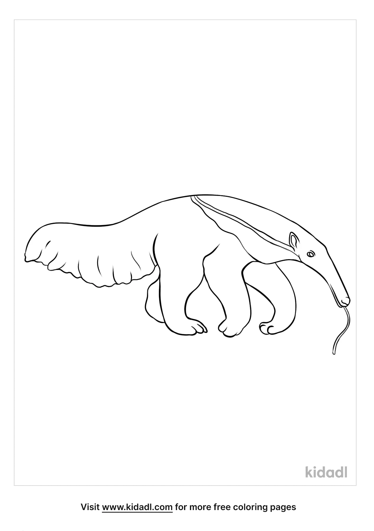 Anteater Coloring Pages   Free Mammals Coloring Pages   Kidadl