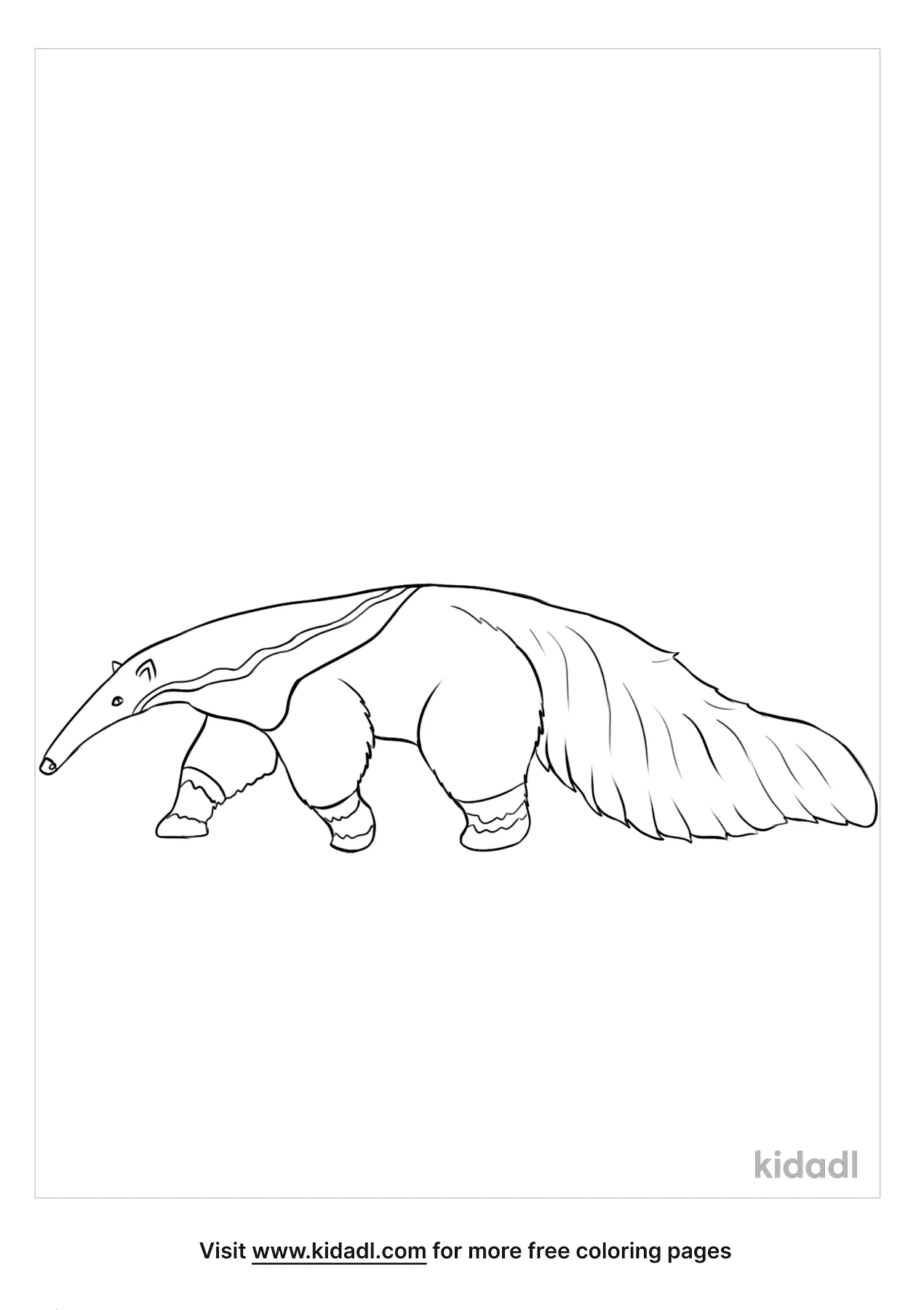 Anteater Coloring Pages   Free Mammals Coloring Pages   Kidadl