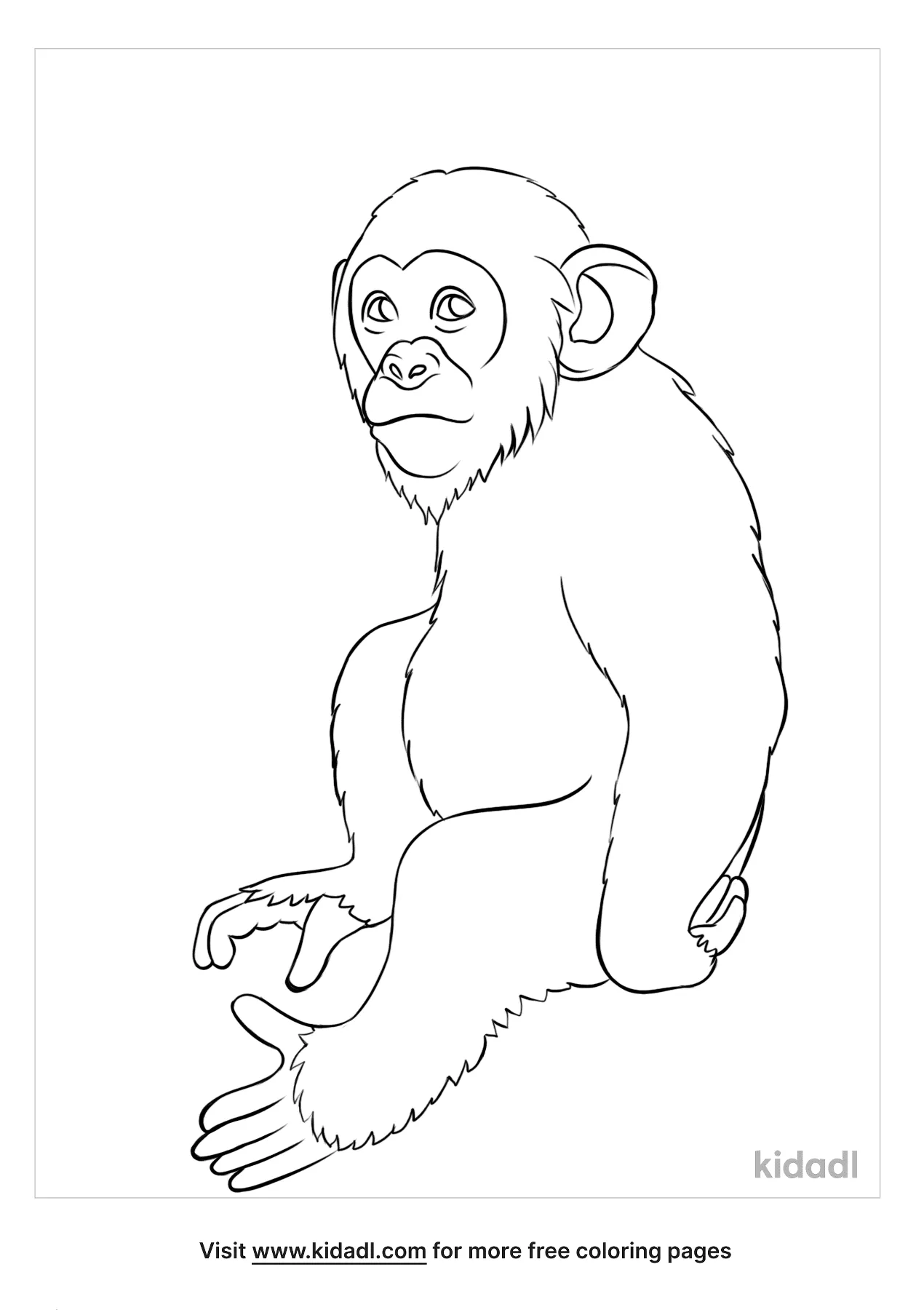 Ape Coloring Pages   Free Mammals Coloring Pages   Kidadl