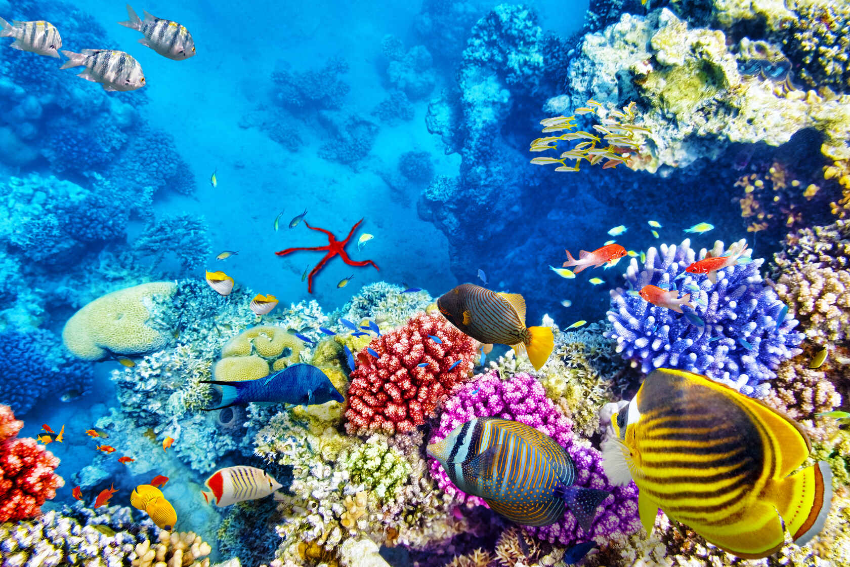 Aquatic Ecosystem: Understanding Curious Ecosystem Facts For Kids | Kidadl