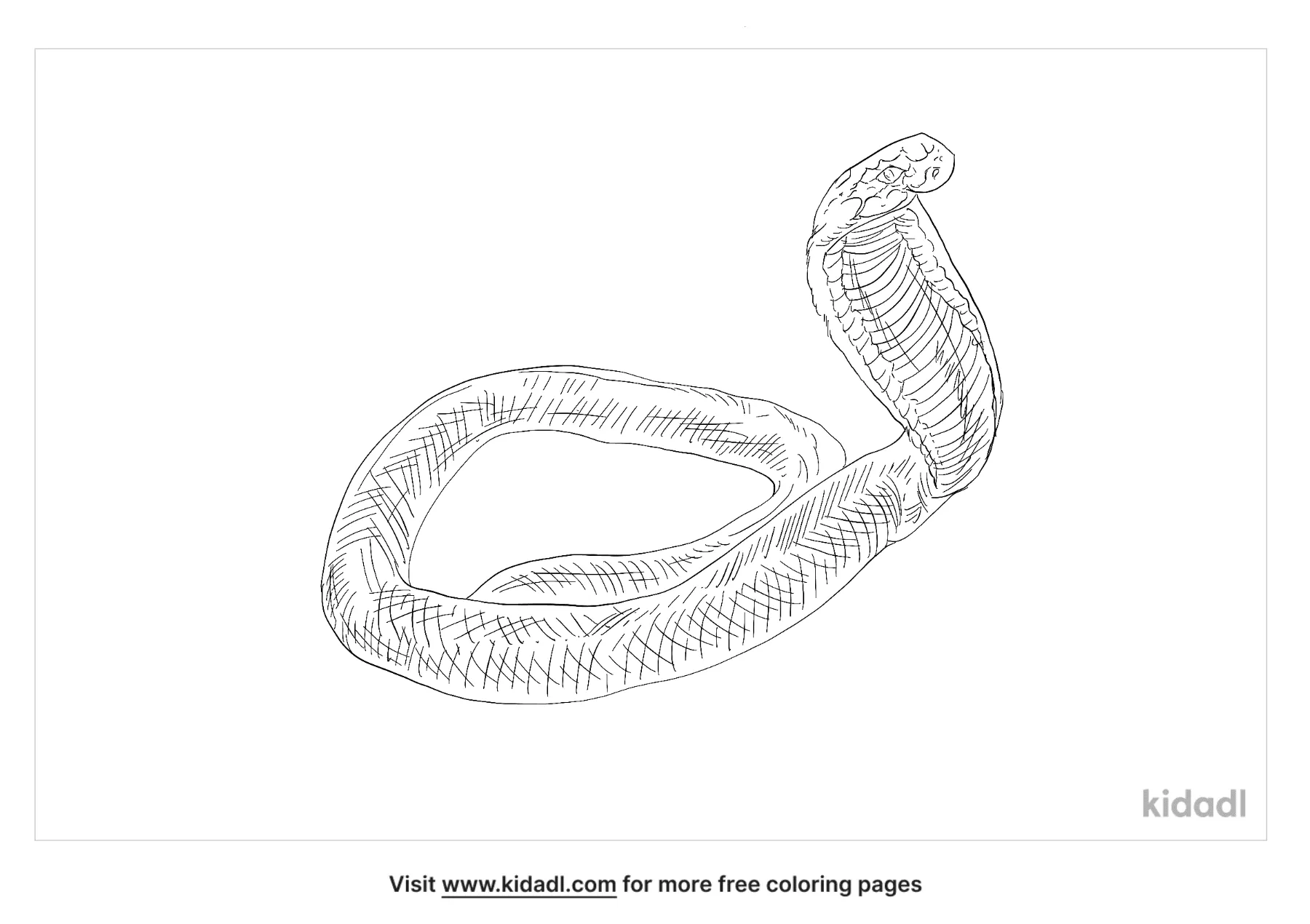 Arabian Cobra Coloring Page