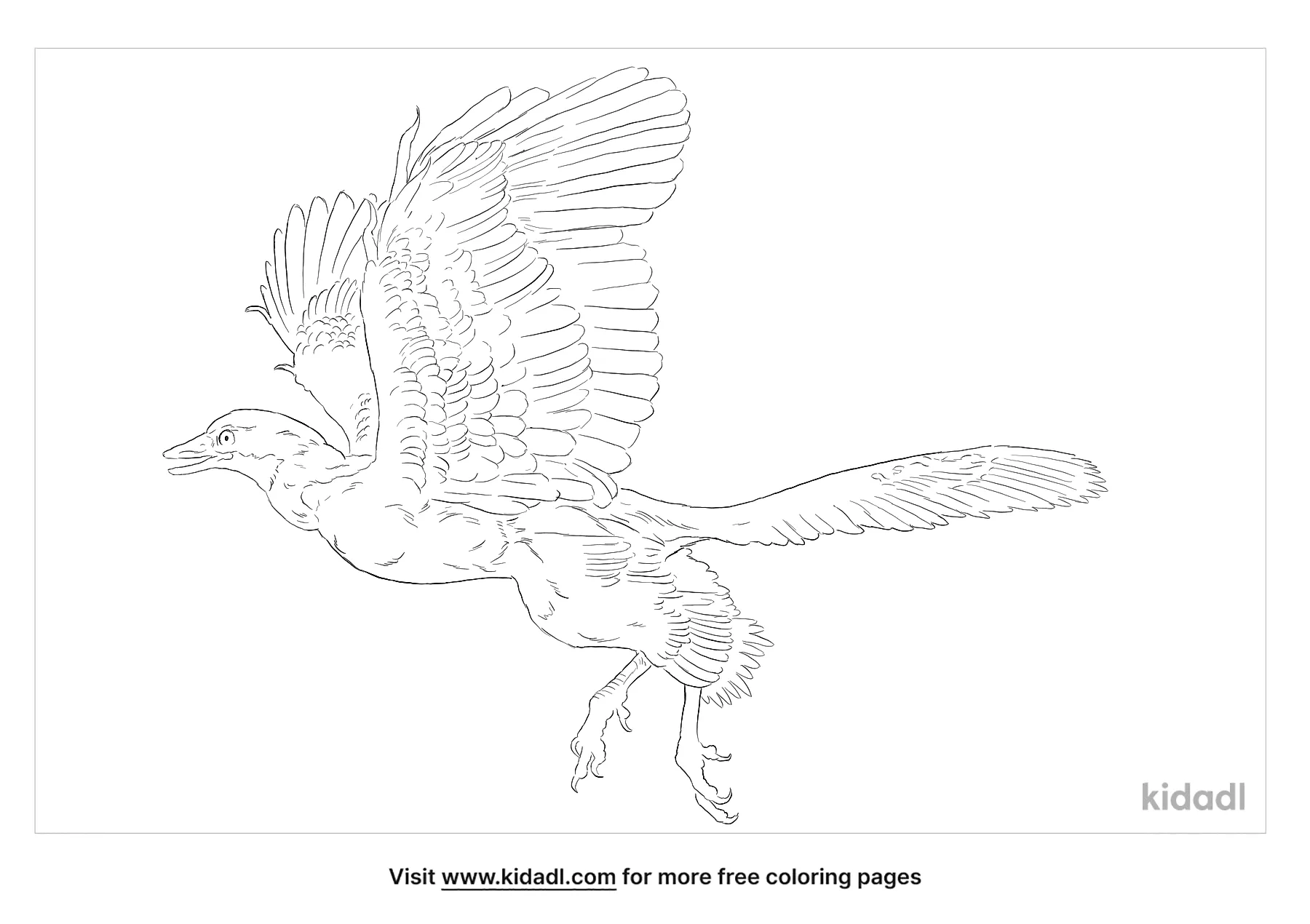 Archaeopteryx Coloring Page