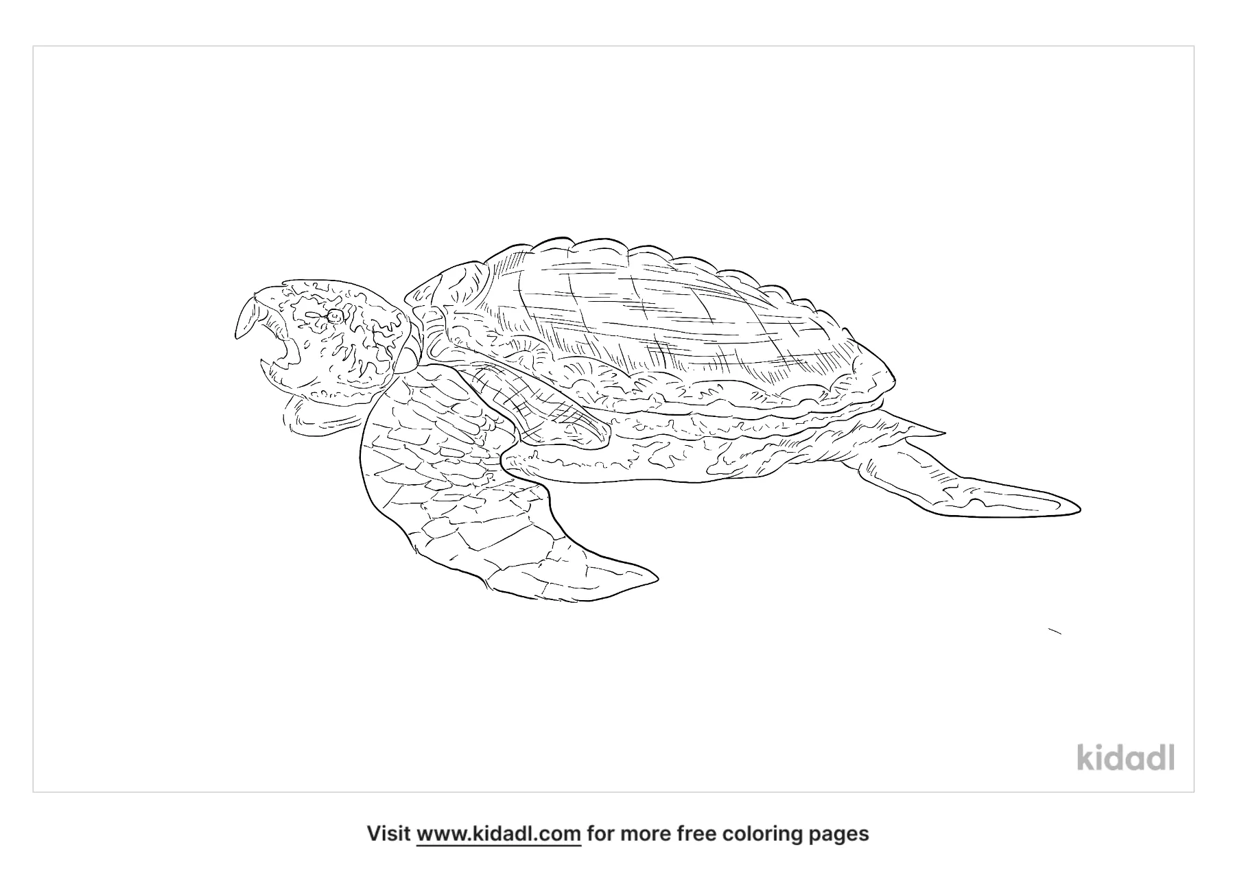 Archelon Turtle Coloring Page
