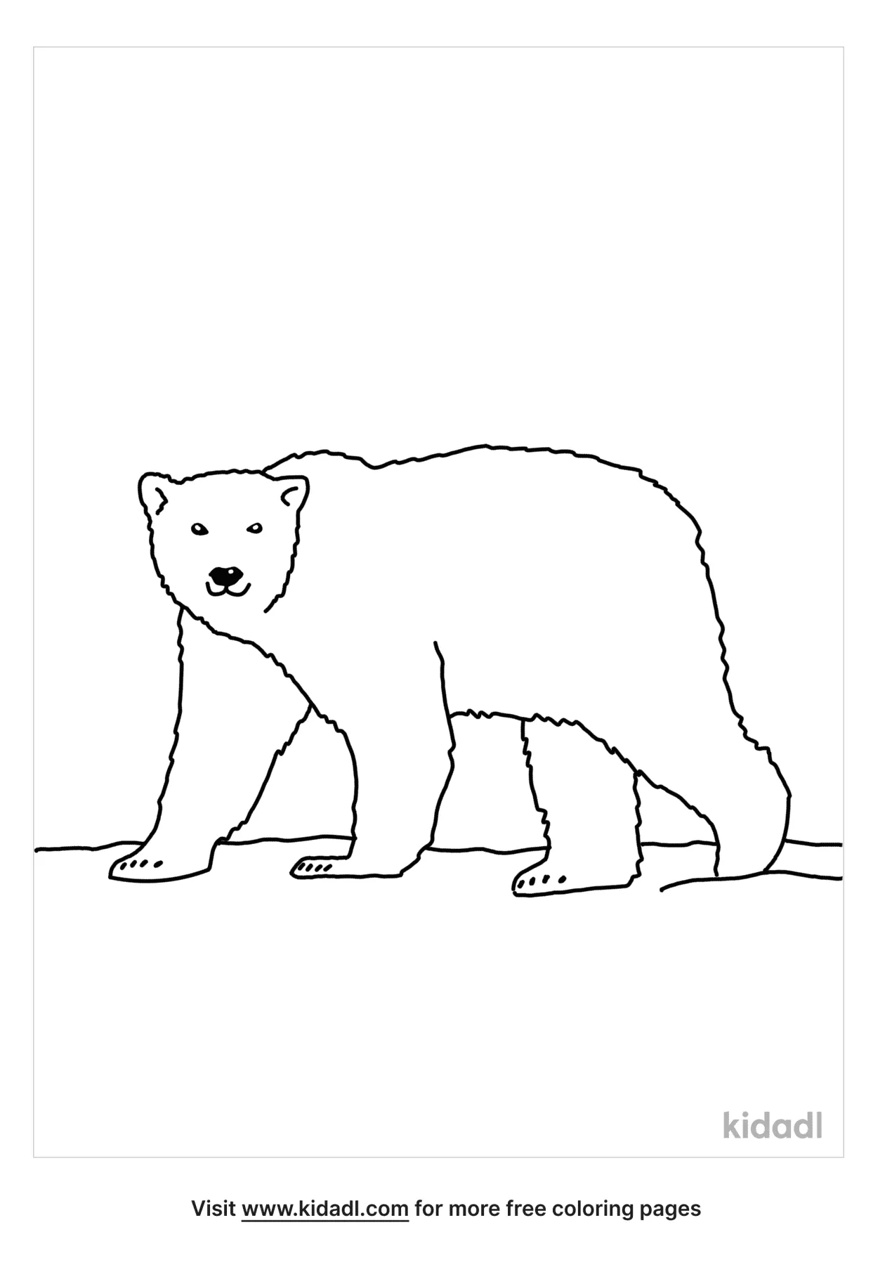 Arctic Animal Coloring Page   Free Arctic Coloring Page   Kidadl