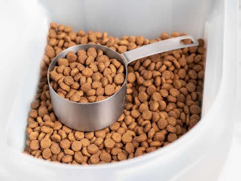 Cat food Kibbles with measuring cup.