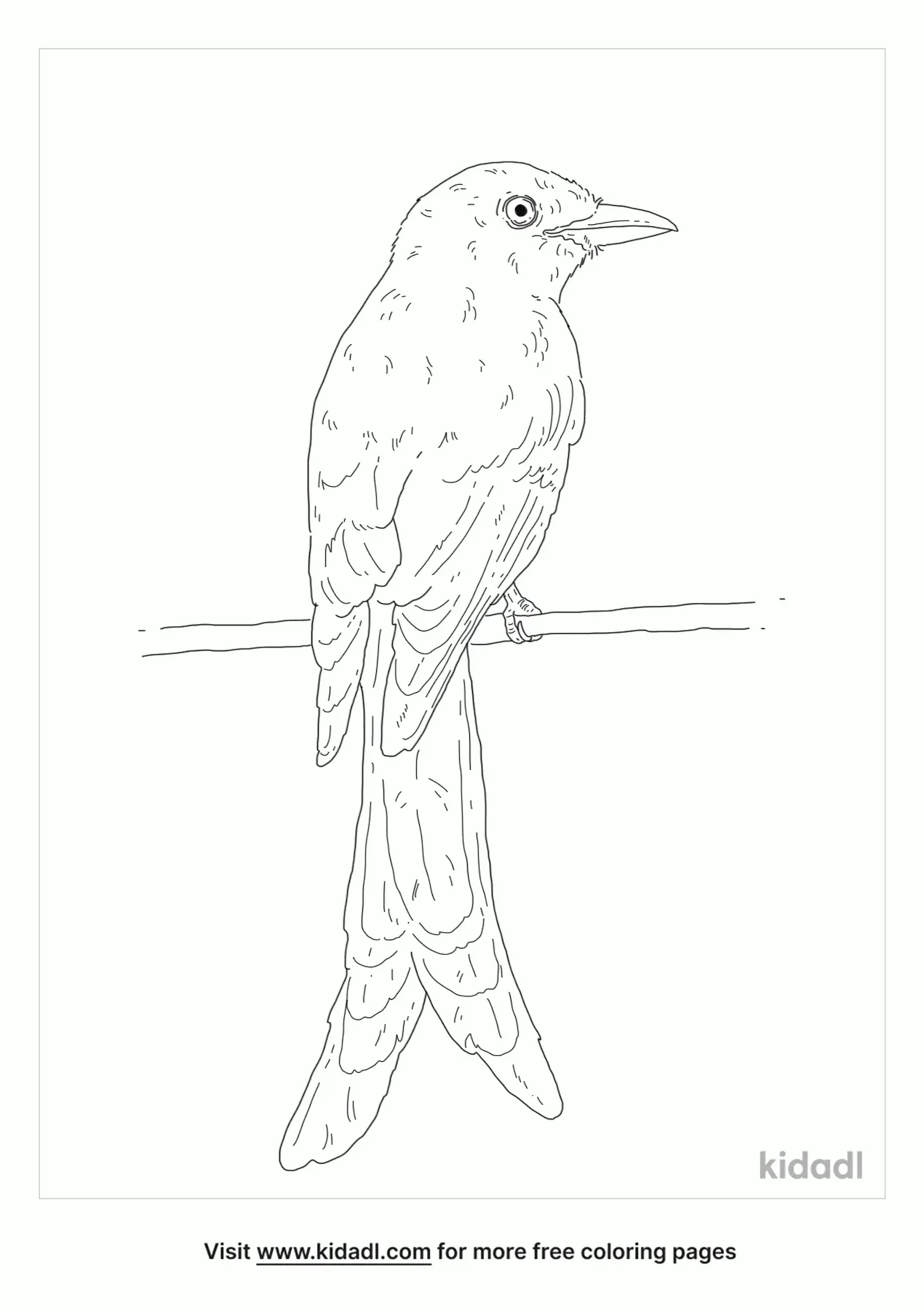 Spoonbill Bird Coloring Page | Free Birds Coloring Page | Kidadl