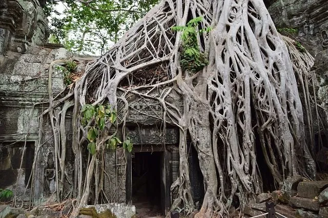 The temple in Cambodia filmed in Indiana Jones.