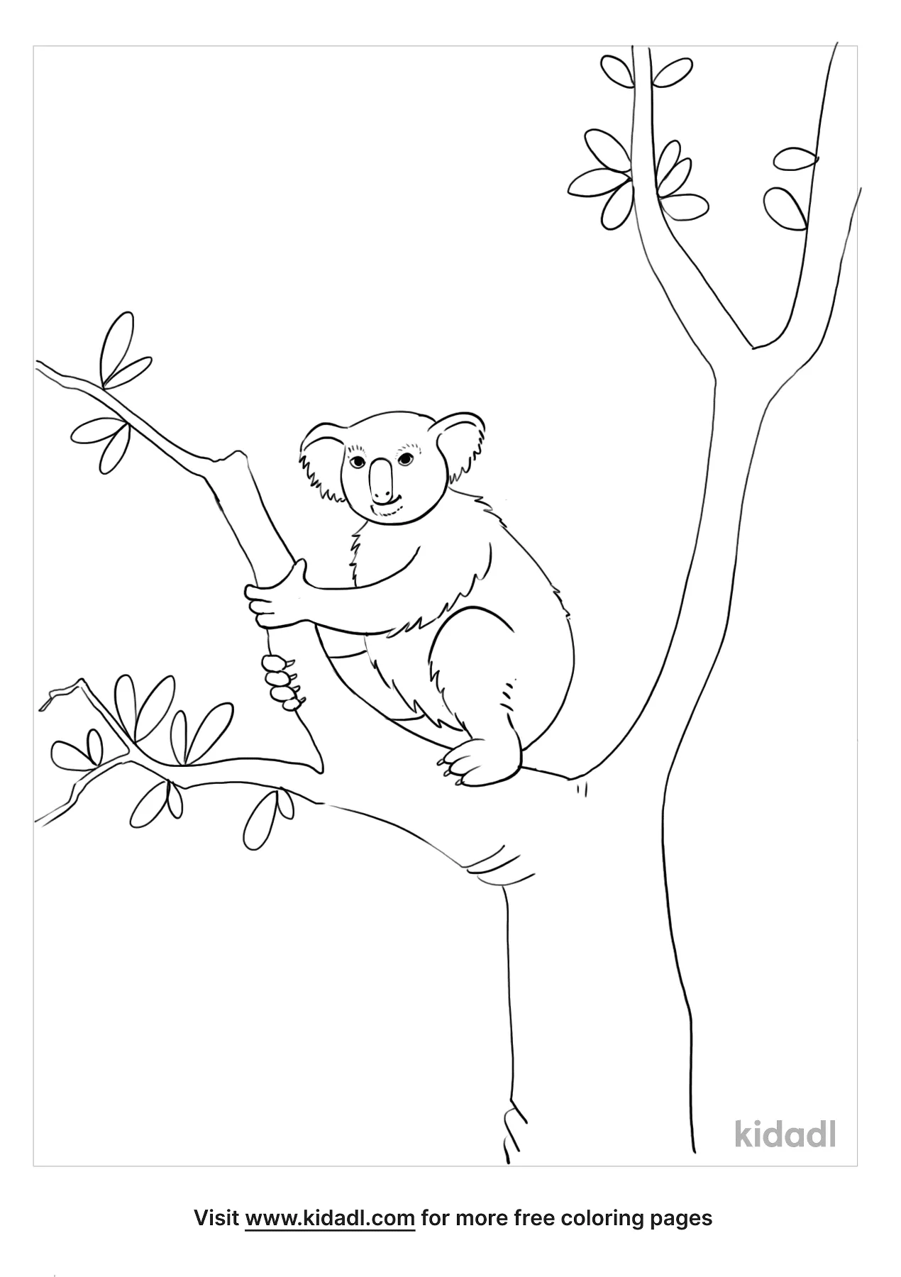 Australian Animals Coloring Pages   Free Animals Coloring Pages ...