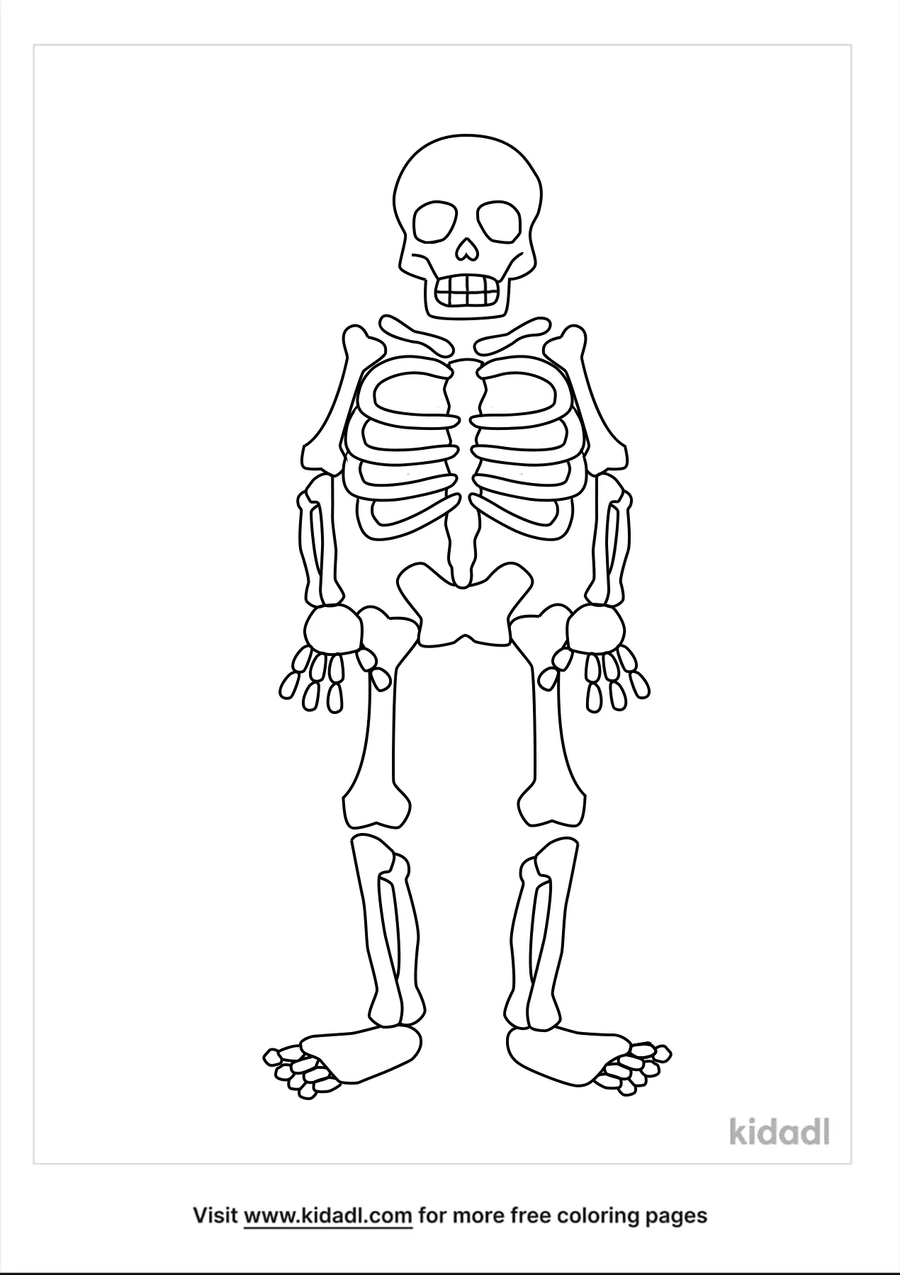 Контурный рисунок скелета