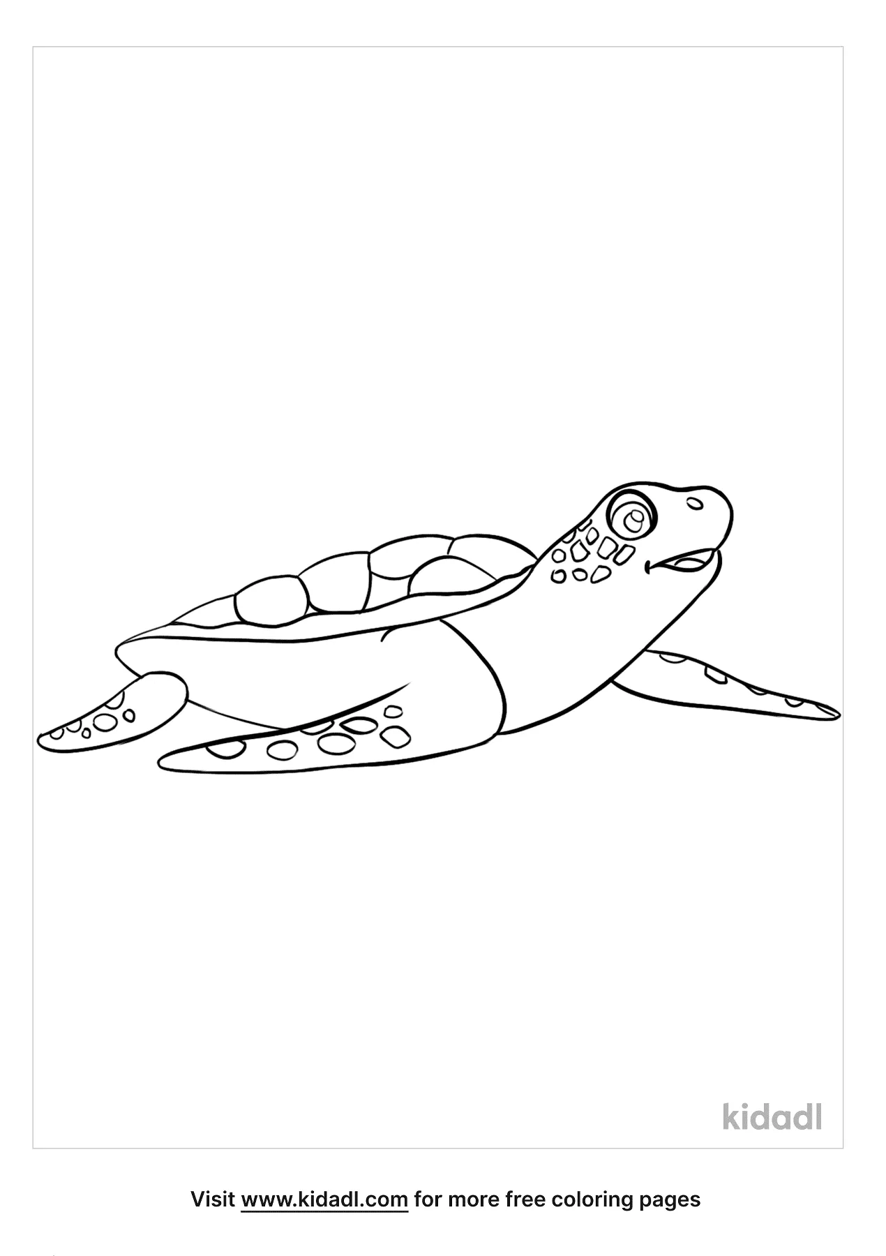 Free Baby Turtle Coloring Page | Coloring Page Printables | Kidadl