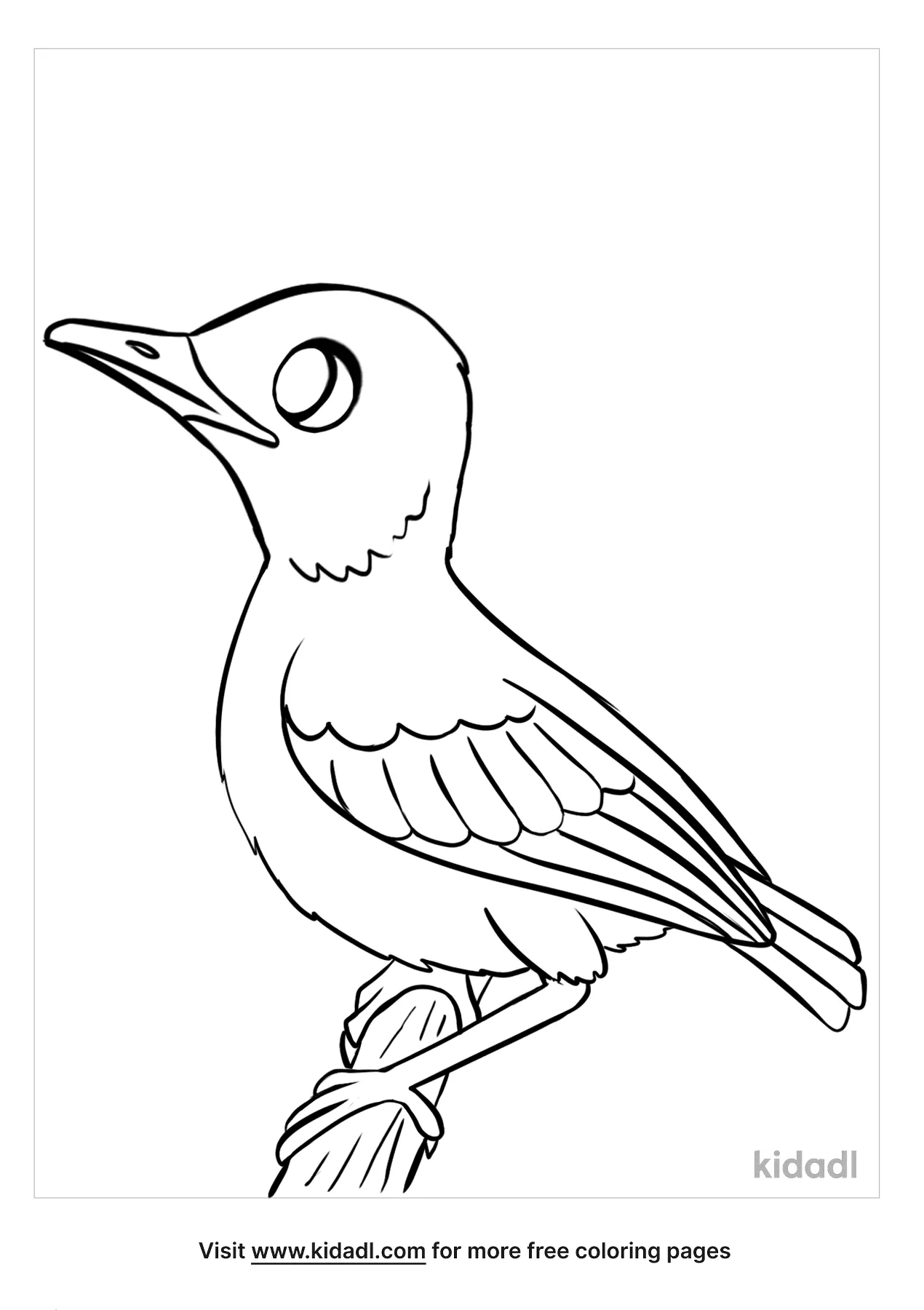 Baby Bird Coloring Pages   Free Birds Coloring Pages   Kidadl