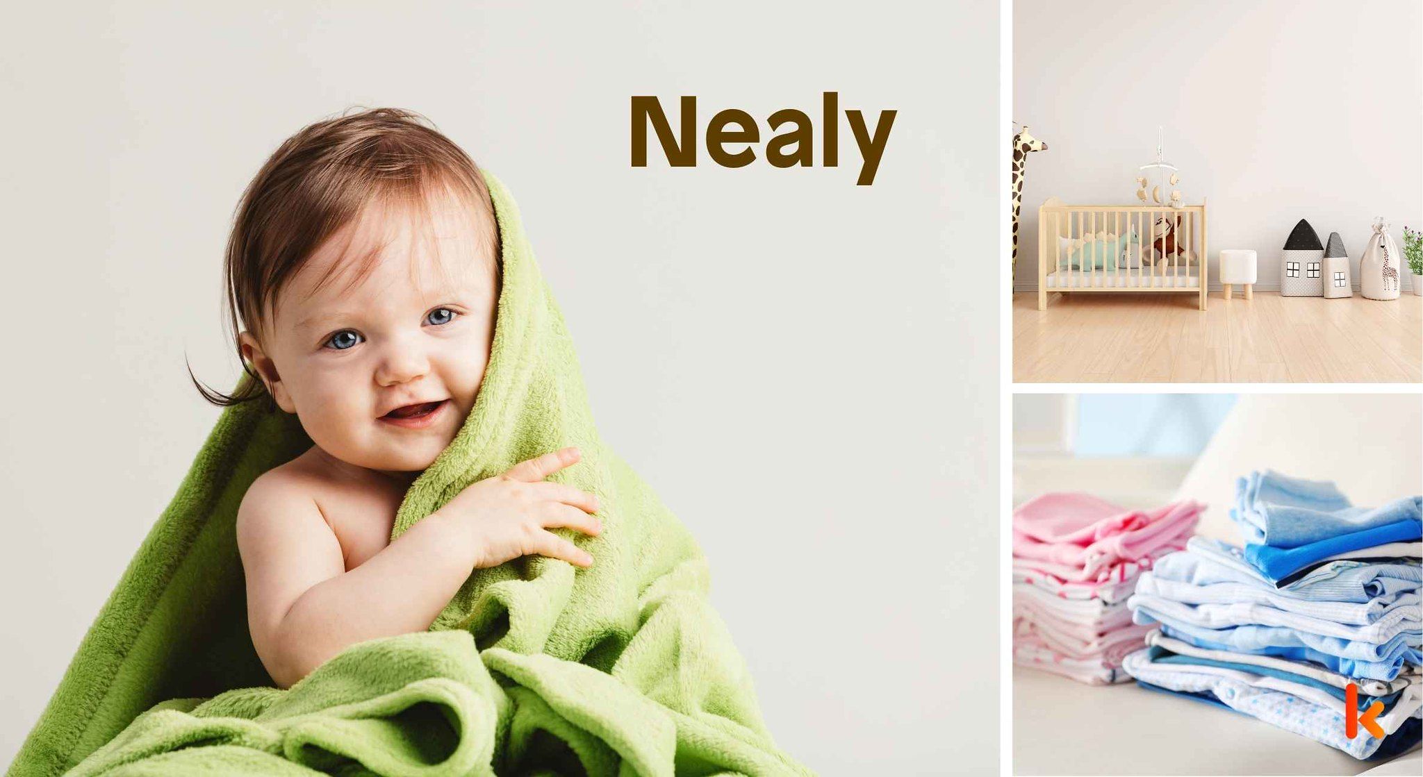 Meaning of the name Nealy