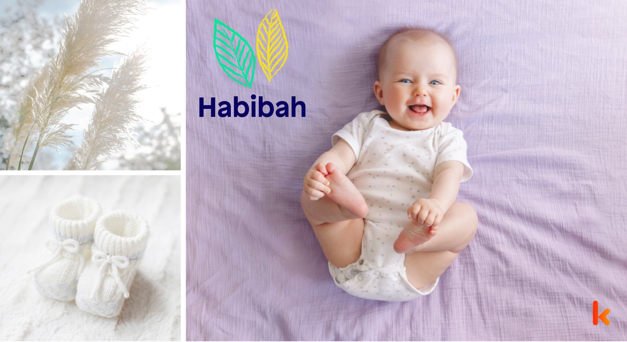 Meaning of the name Habibah
