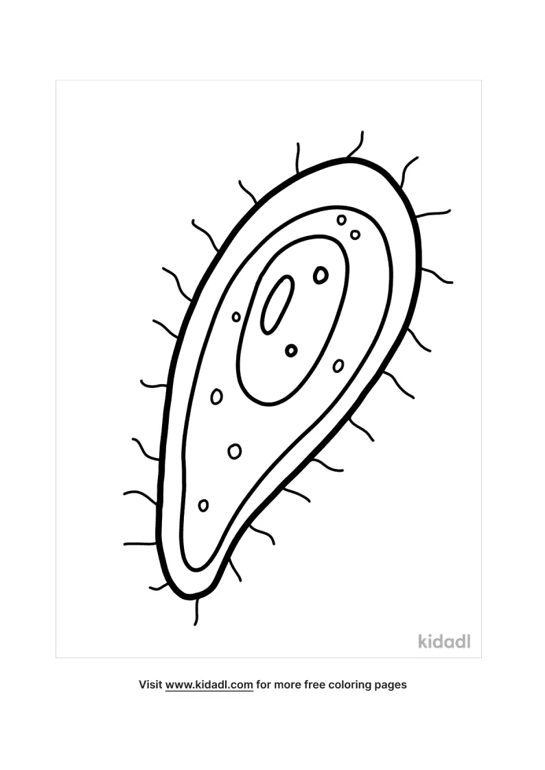 free bacteria coloring pages