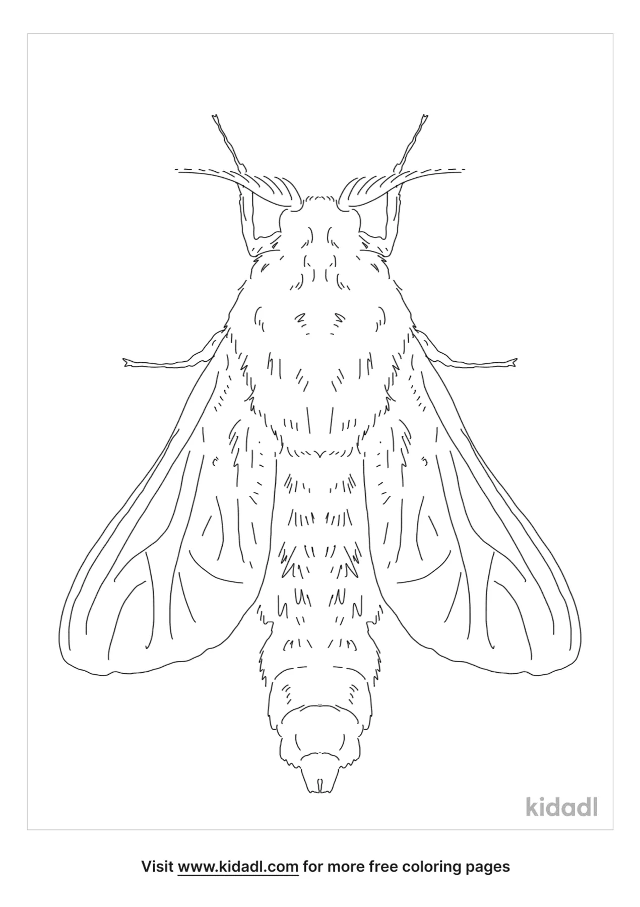 Bagworm Moth Coloring Page