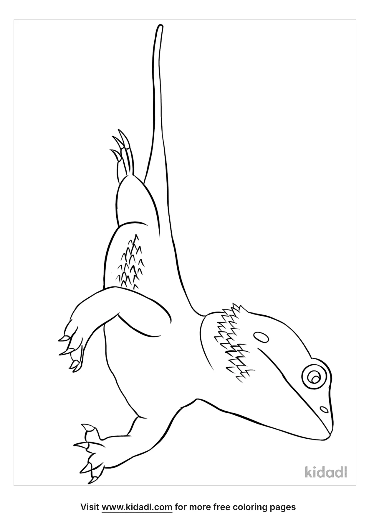 √ Bearded Dragon Coloring Page / Bearded Dragon Zentangle - Realistic