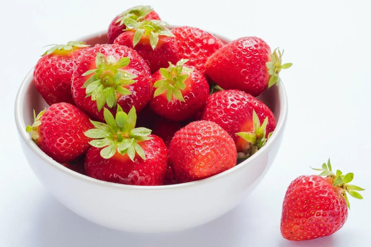 Some species of strawberries (Fragaria vesca) grow in the wild and are not toxic.