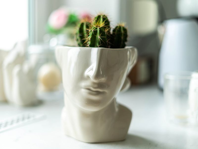 Head flowerpot with cactus on the top.