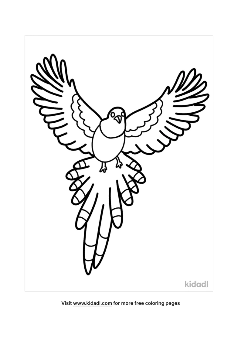 Bird Coloring Pages   Free Birds Coloring Pages   Kidadl