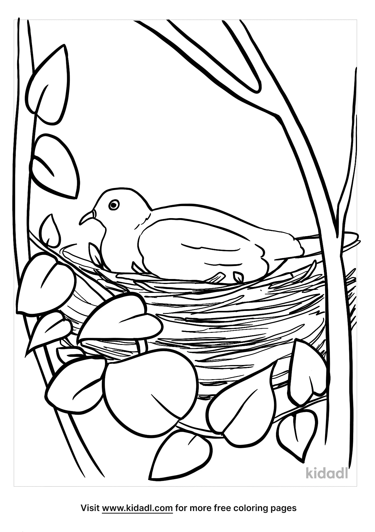 Bird Nest Coloring Pages   Free Birds Coloring Pages   Kidadl