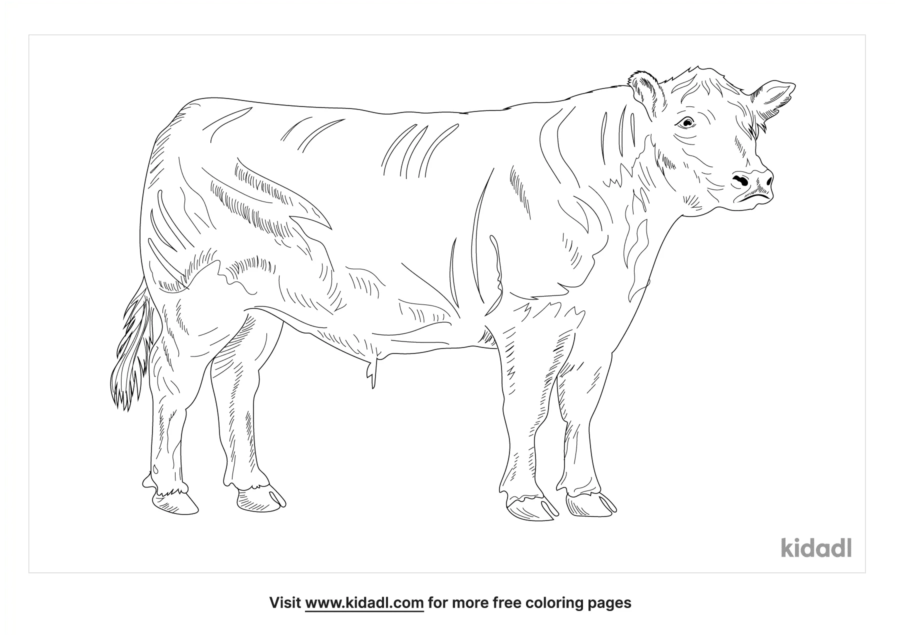 Black Angus Coloring Page