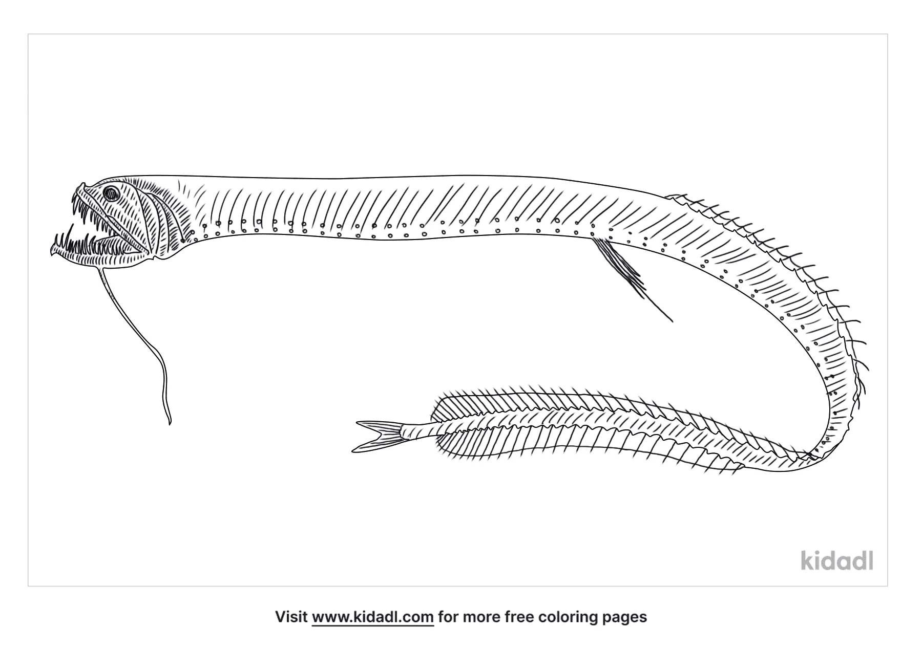 dragon fish drawing