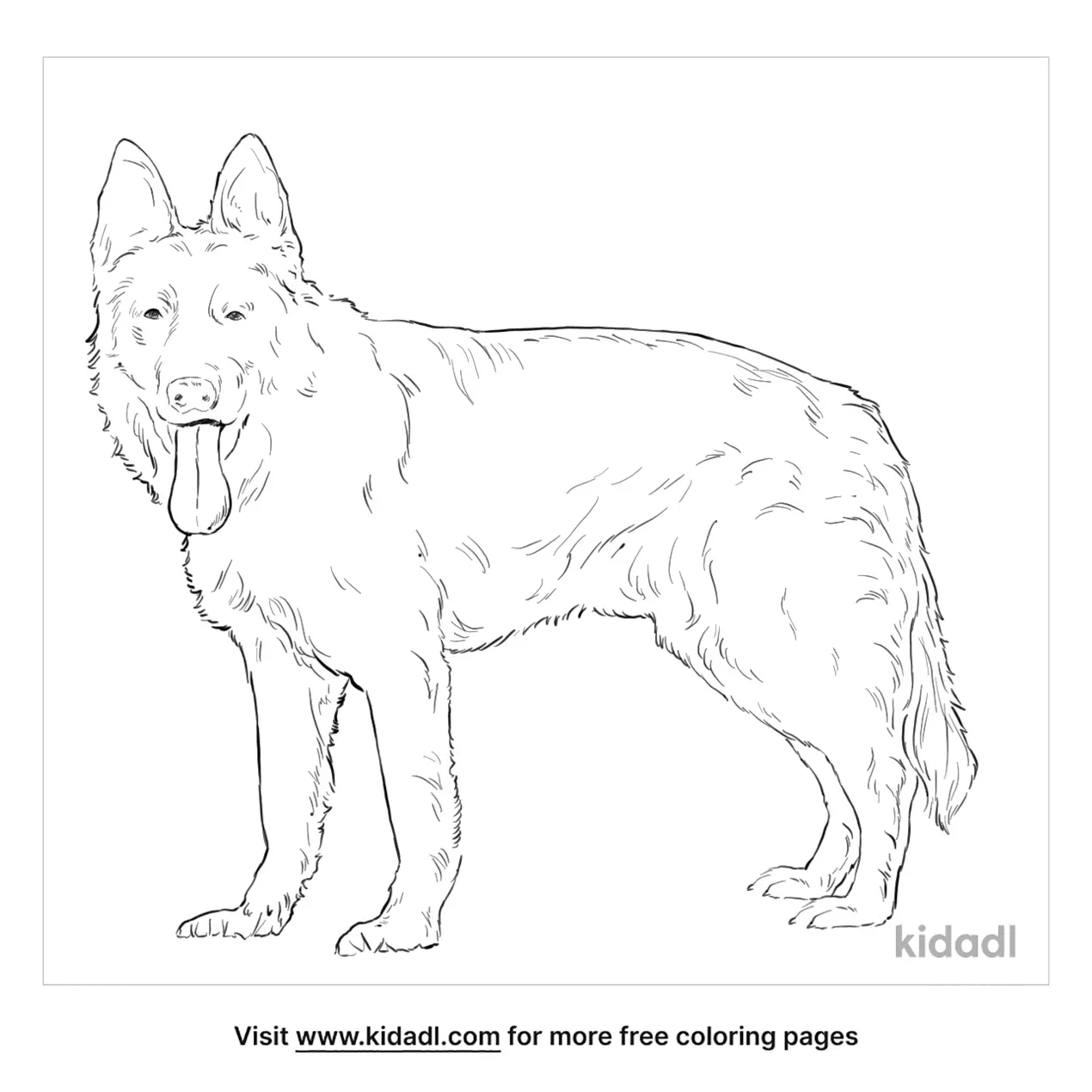 American Foxhound Coloring Page | Free Dogs Coloring Page | Kidadl