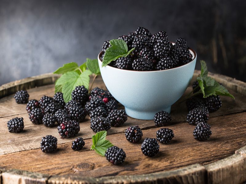 Ripe blackberries with leaves in a bowl